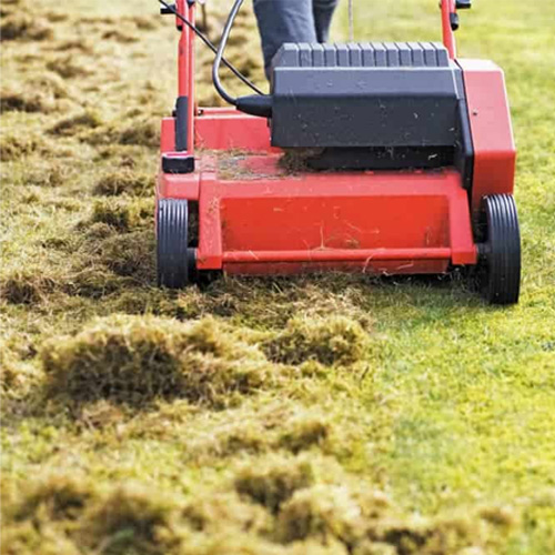 Cheap-Phoenix-Lawn-Aeration
